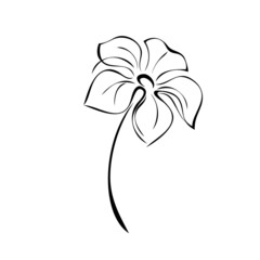 one stylized blooming flower on a short stalk without leaves. graphic decor