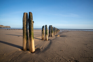 Old worn groynes or breakwaters on Sandsend beach in the early morning, North Yorkshire