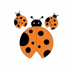 ladybug on white background