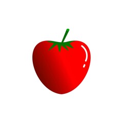 tomato on white background d