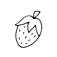 Strawberry. Wild berry. Healthy natural food. Vitamins. Vegetarian. Vector. Doodle. Hand-drawn illustration. Sketch. Silhouette. Black and white. Contour. Coloring