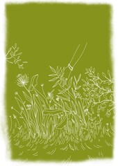 freen floral postcard about summer