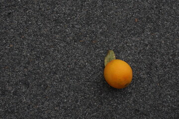 orange on the tar
