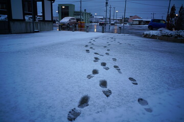 二人で仲良く