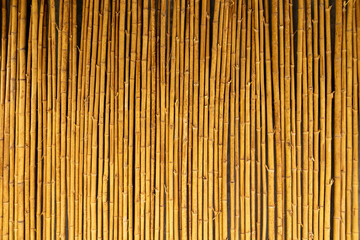 bamboo fence yellow vertical backround