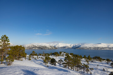 Fototapeta na wymiar On a ski trip in the Velfjord mountains,Helgeland,Northern Norway,scandinavia,Europe