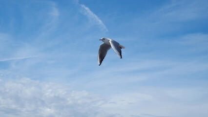 Different Method of Flying