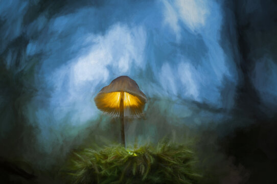 Fine art, artwork. Digital abstract oil painting of fantasy glowing mushrooms in an enchanted forest.