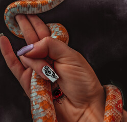 hand holding a snail