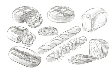 Set of sliced bread. The cut loaf of toast bread for sandwich. Logo, icon. Vector sketch realistic line vintage illustration