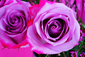 Large pink purple rose bouquet with wax flowers for Valentines Day
