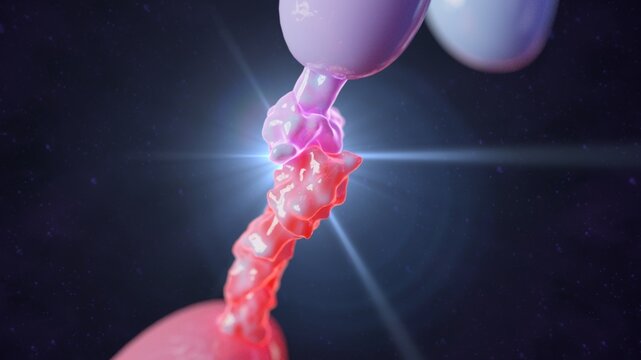 3D rendering of PD-1 and PD-1L Molecules Binding in Detail