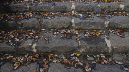 Stone steps covered with fallen leaves.  Close-up shooting fallen autumn leaves, natural background. Top view.