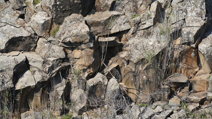 View of the Zavitan hexagonal pillars,  in Yehudiya Forest Nature Reserve, the Golan Heights, Northern Israel