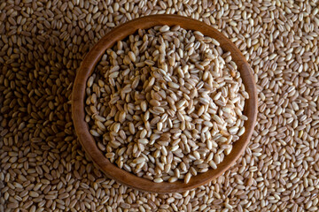 Bowl full of wheat grains, top view