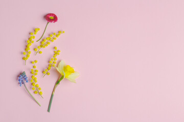 Beautiful minimal spring flowers on pink background, Easter card, floral border