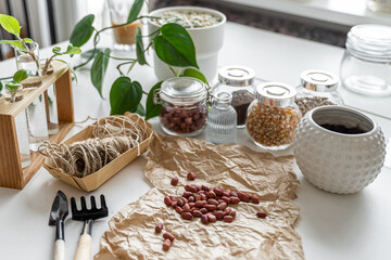 Seeds for planting and belongings, garden tools. Peanuts, peas seeds. designed layout. Craft paper, house potted plant. Copy space.