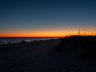 Fototapeta na wymiar coastal dunes