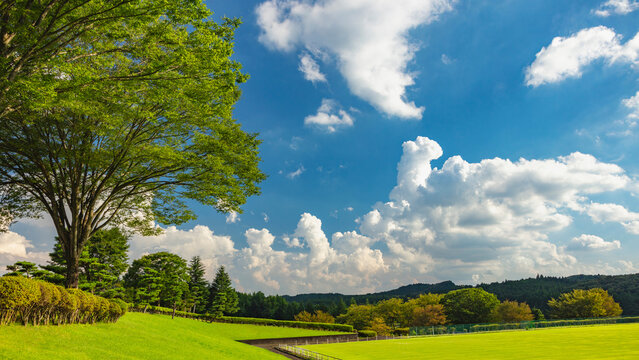 入道雲images Browse 19 517 Stock Photos Vectors And Video Adobe Stock