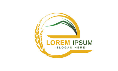illustrration vector graphic of the wheat logo template