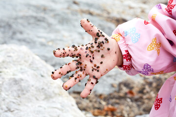 Children's hand in the sea sand, what makes up the sand of sea shells, glass