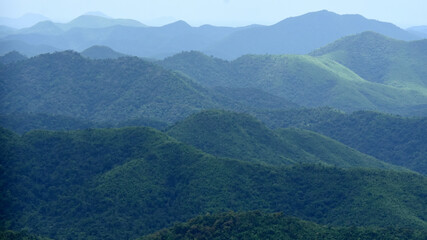 Naklejka premium hill evergreen forest lanscape,tropical ecology conservation.