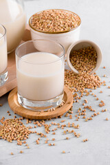 Vegan non diary buckwheat milk in glasses with buckwheat groats in a bowl on white stone table. Vegan buckwheat drink is plant based alternative milk . Veggies healthy milk product, selective focus