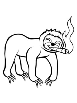 Kiffendes Faultier Joint 