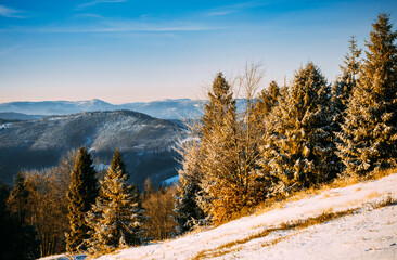 Fototapeta na wymiar Winter trees mountains landscape covered fresh snow.jpg