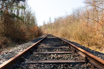 railway in the woods