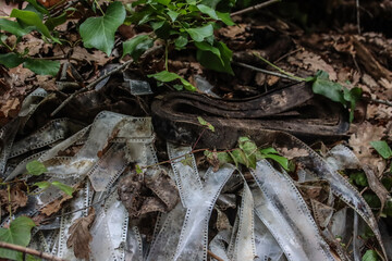 Old film reels covered by nature in an abandoned urbex location, creating a haunting and nostalgic scene