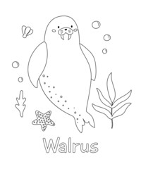 Coloring book with ocean animals. Cartoon doodle walrus, starfish and seaweeds. Underwater life. Learn english words vocabulary for kids. Educational coloring page. Vector illustration.