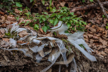 Old film reels covered by nature in an abandoned urbex location, creating a haunting and nostalgic scene