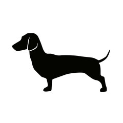 CHIEN 4 PICTO VECTEUR
