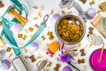 Pet food and accessories, various cat, dog, domestic animals food, toys, treats, utensils. Zoomarket and pet store, online shopping, pet care concept, flatlay banner top view copespace