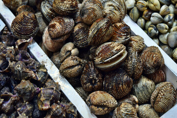 Fresh and healthy seafood for sale at a market in Spain