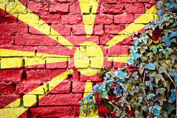 North Macedonia grunge flag on brick wall with ivy plant