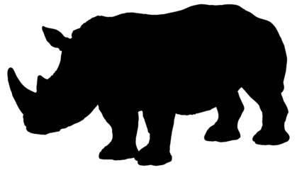 Black and white vector silhouette of a standing adult white rhinoceros. Isolated on white background.