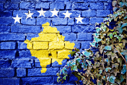 Kosovo Republic grunge flag on brick wall with ivy plant