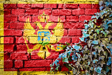 Montenegro grunge flag on brick wall with ivy plant