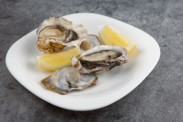 Oysters in plate on grey background