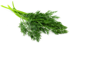 Bunch of green dill on a white background, green dill for salad. Vegetarian food