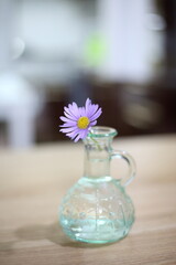 화병에 있는 작은 국화꽃 한송이