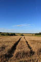 Droga na ściernisku