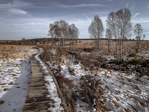 A wooden footpath in the Hohes Fenn moorland in winter with patches of snow between the reeds and trees.