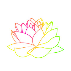 lotus flower illustration