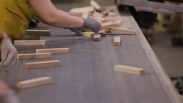 Workers on the conveyor line of a furniture factory. Workers sort out wooden blocks at a furniture factory. Sorting wood blanks at a furniture factory