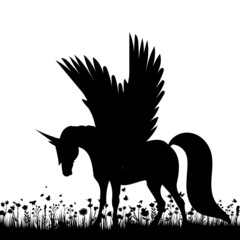 pegasus on the grass silhouette, isolated