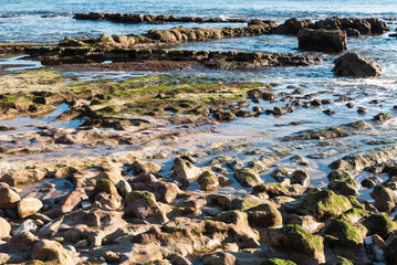 Closeup of green rough rock structure on the beach in Estoril, Portugal
