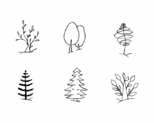 Fototapeta na wymiar hand drawn doodle sketch trees